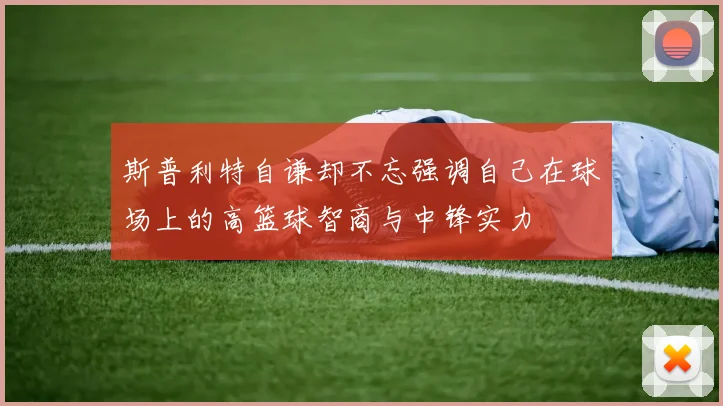 斯普利特自谦却不忘强调自己在球场上的高篮球智商与中锋实力